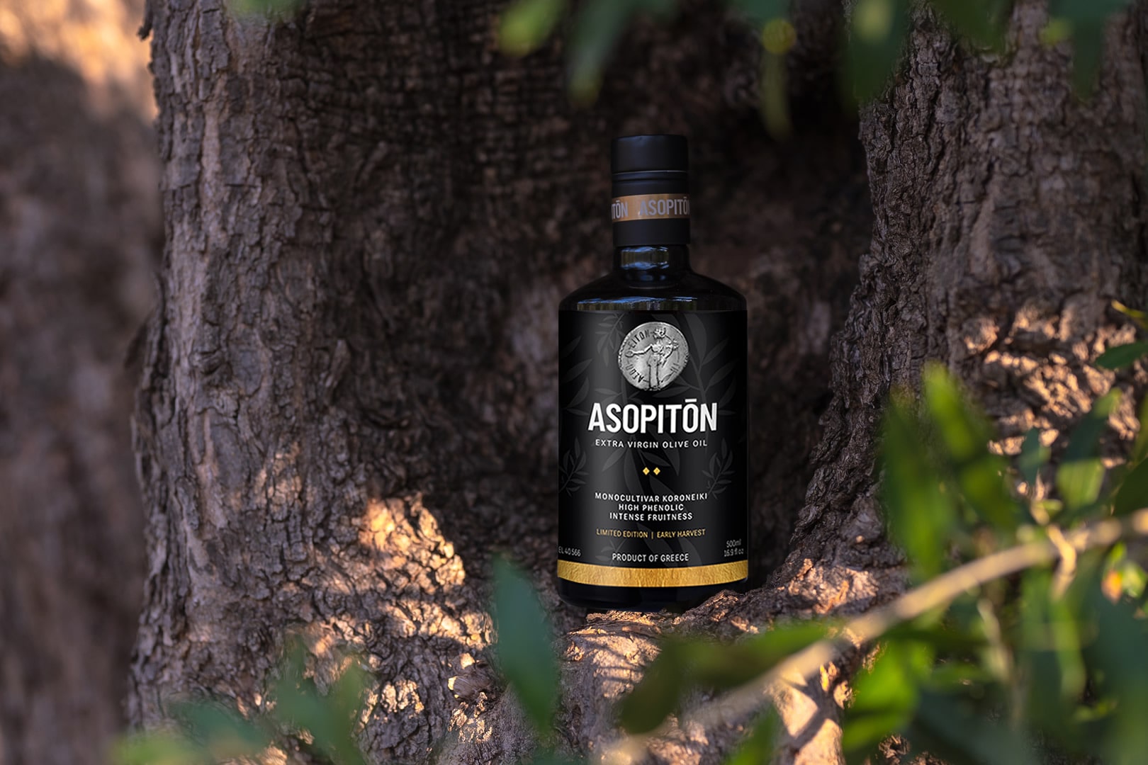 Extra virgin olive oil Asopiton
